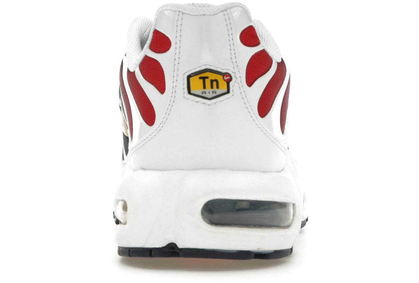 Nike Air Max Plus PSG