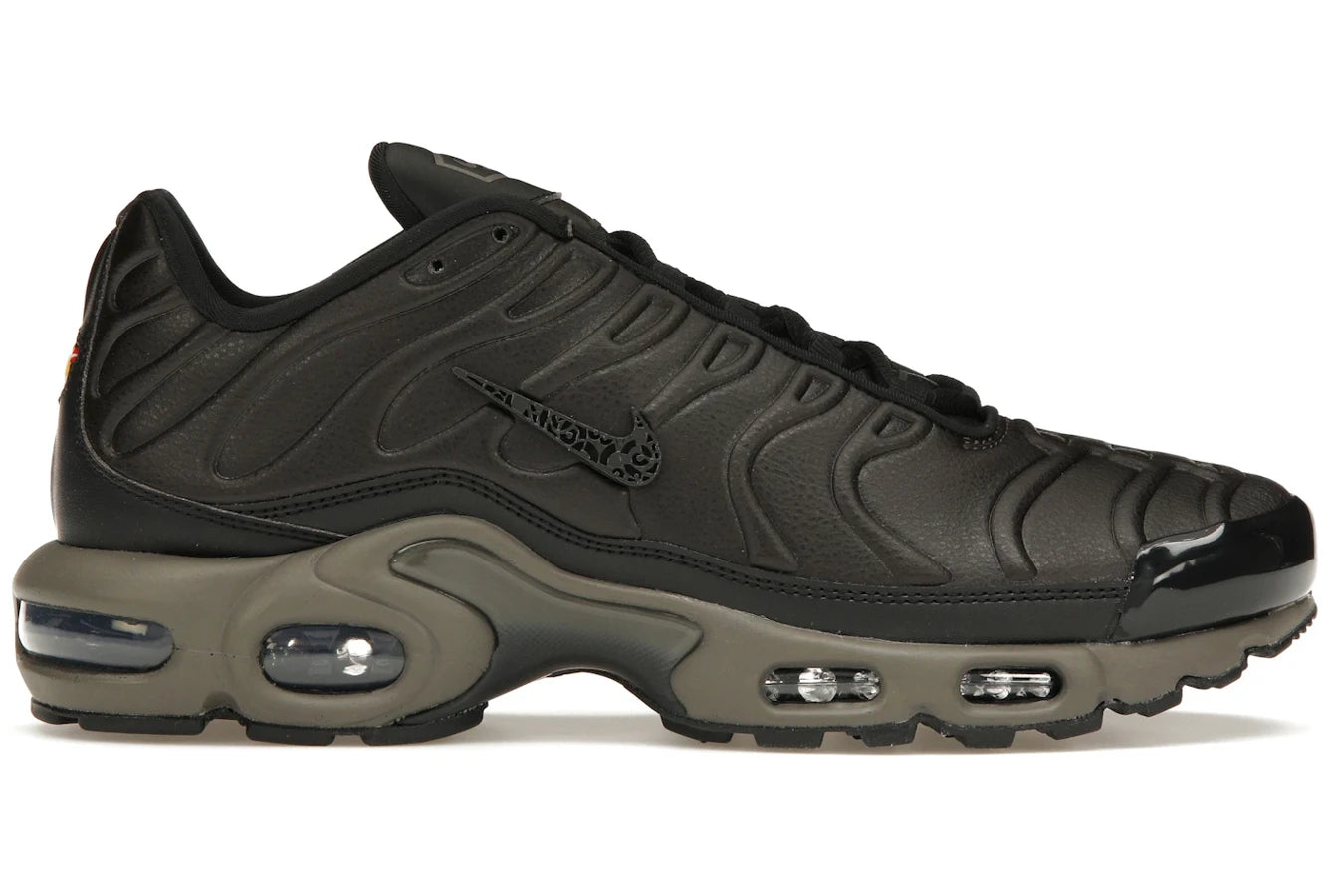 Nike Air Max Plus Premium Paris