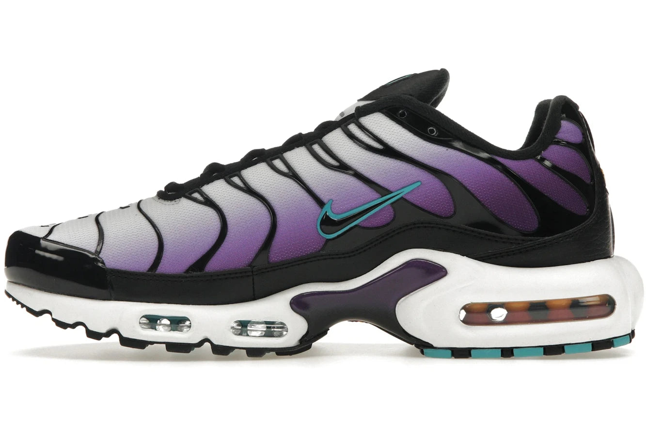 Nike Air Max Plus Reverse Grape