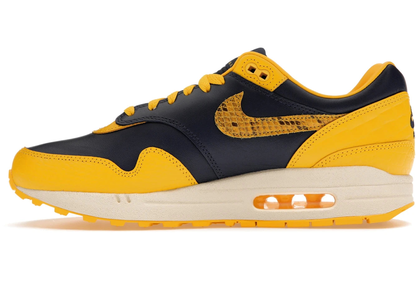 Nike Air Max 1 CO.JP Michigan Head to Head