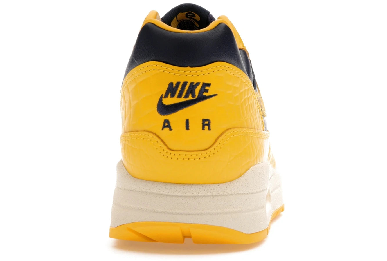 Nike Air Max 1 CO.JP Michigan Head to Head