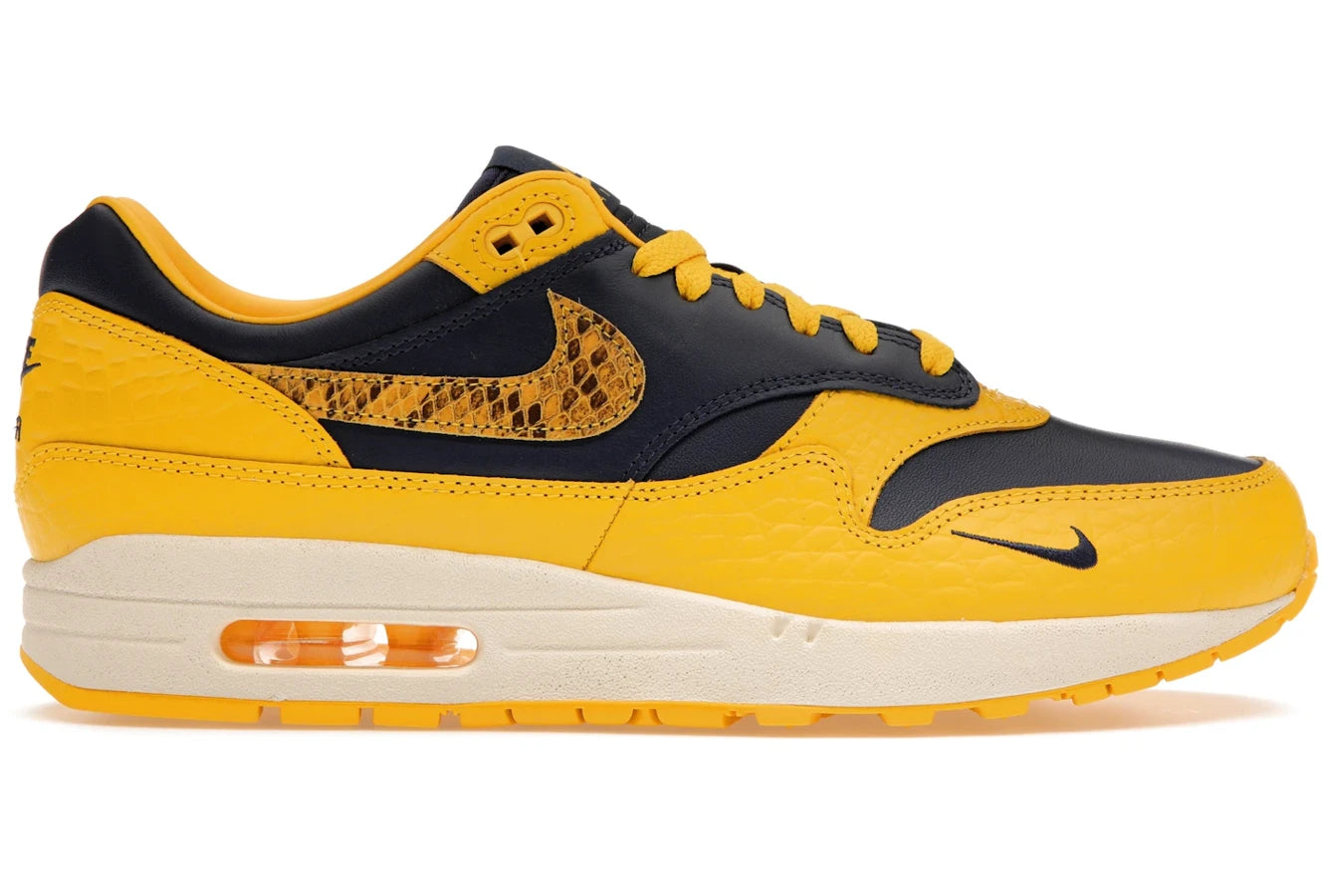 Nike Air Max 1 CO.JP Michigan Head to Head