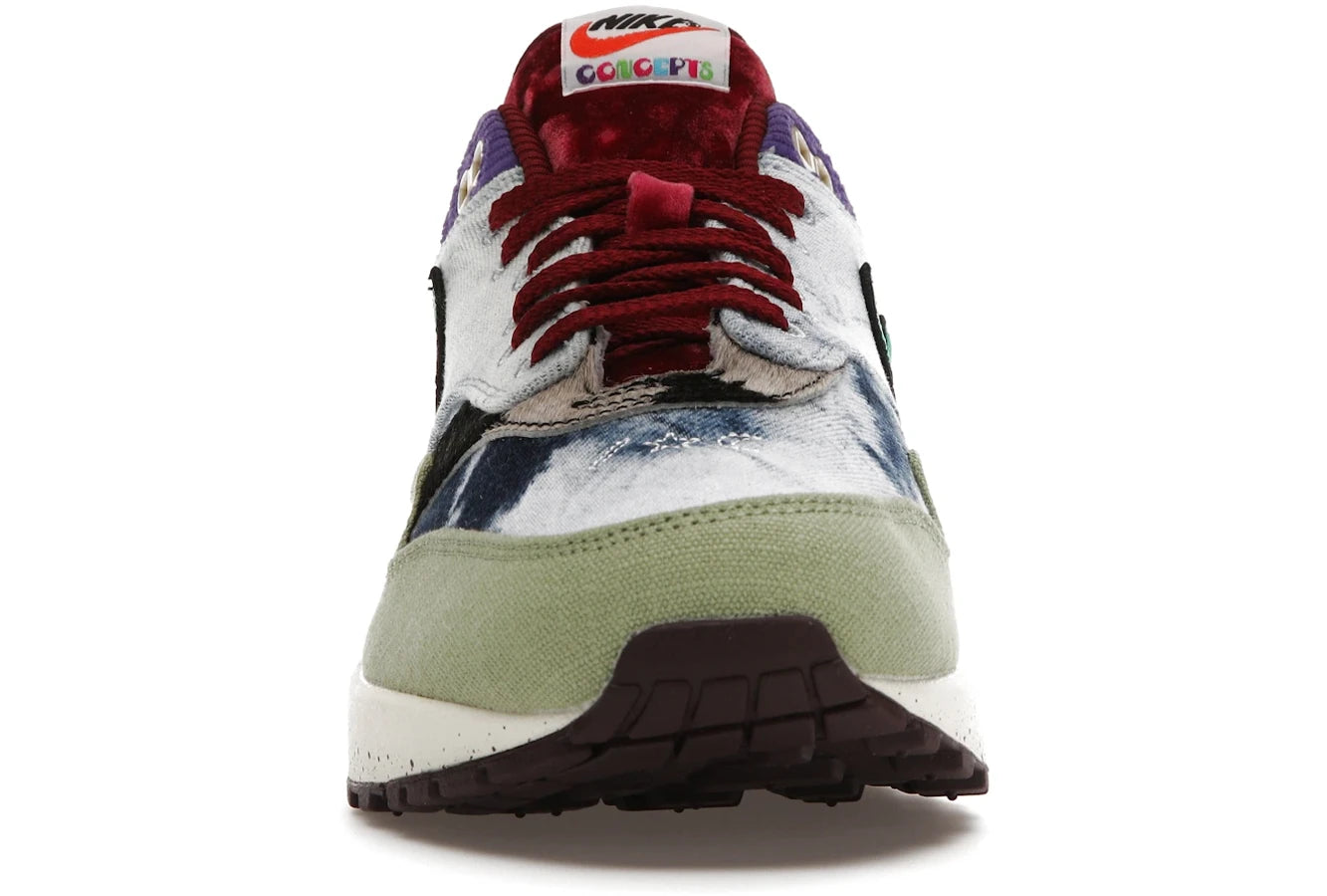 Nike Air Max 1 SP Concepts Mellow