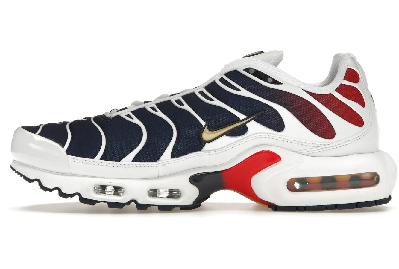 Nike Air Max Plus PSG