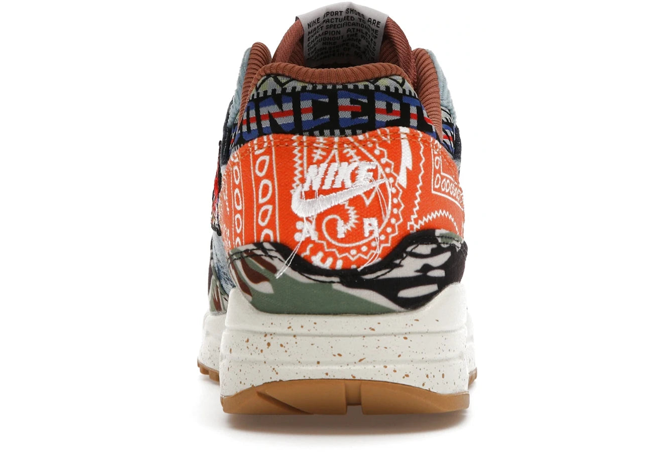 Nike Air Max 1 SP Concepts Heavy