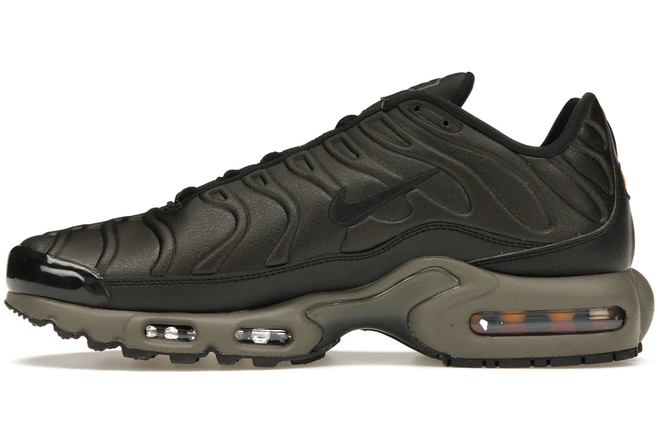 Nike Air Max Plus Premium Paris