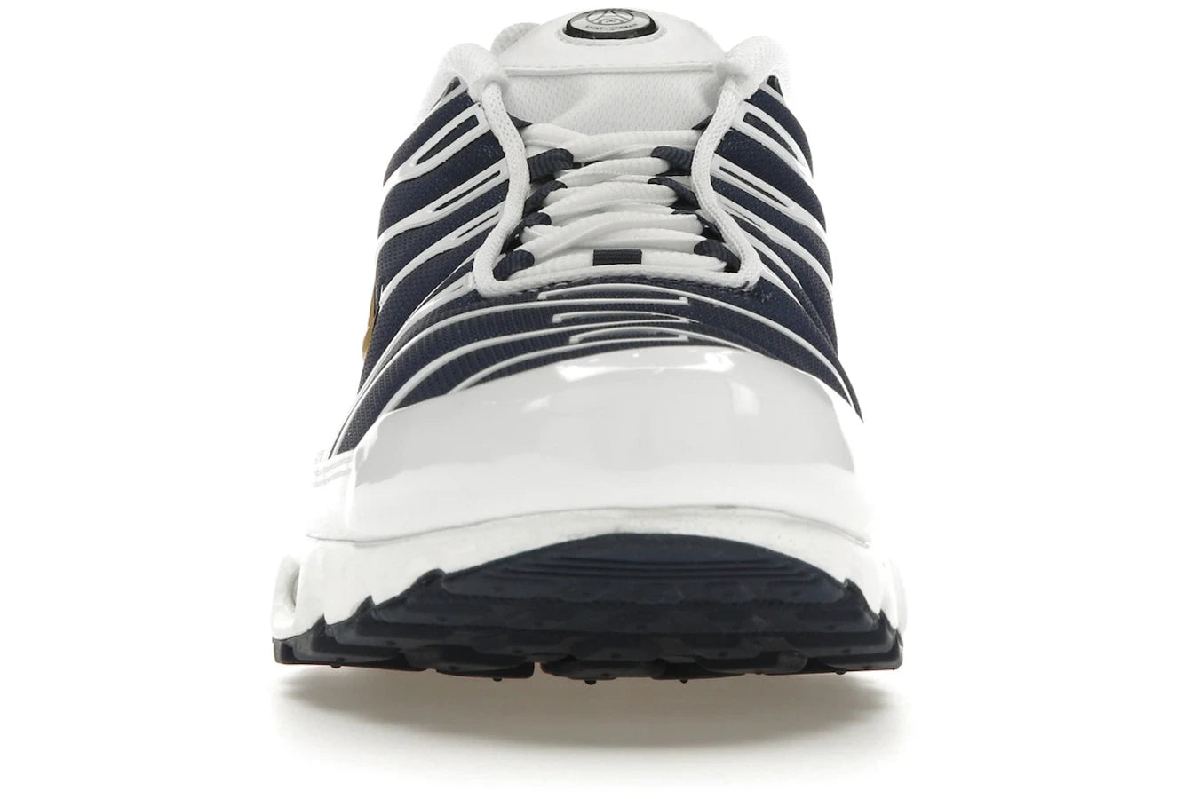 Nike Air Max Plus PSG