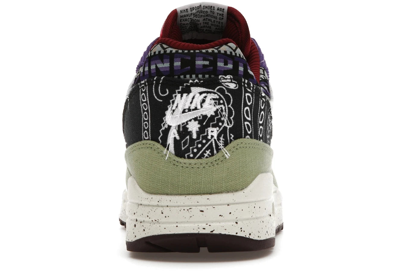 Nike Air Max 1 SP Concepts Mellow