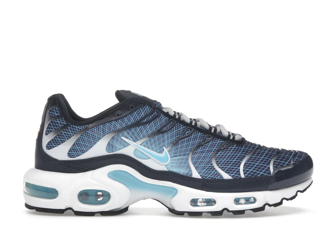 Nike Air Max Plus Dark Obsidian