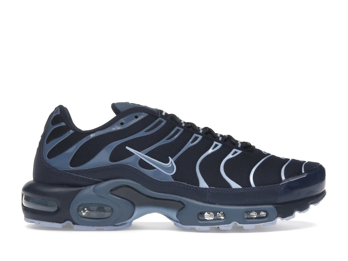 Nike Air Max Plus Obsidian Aluminum