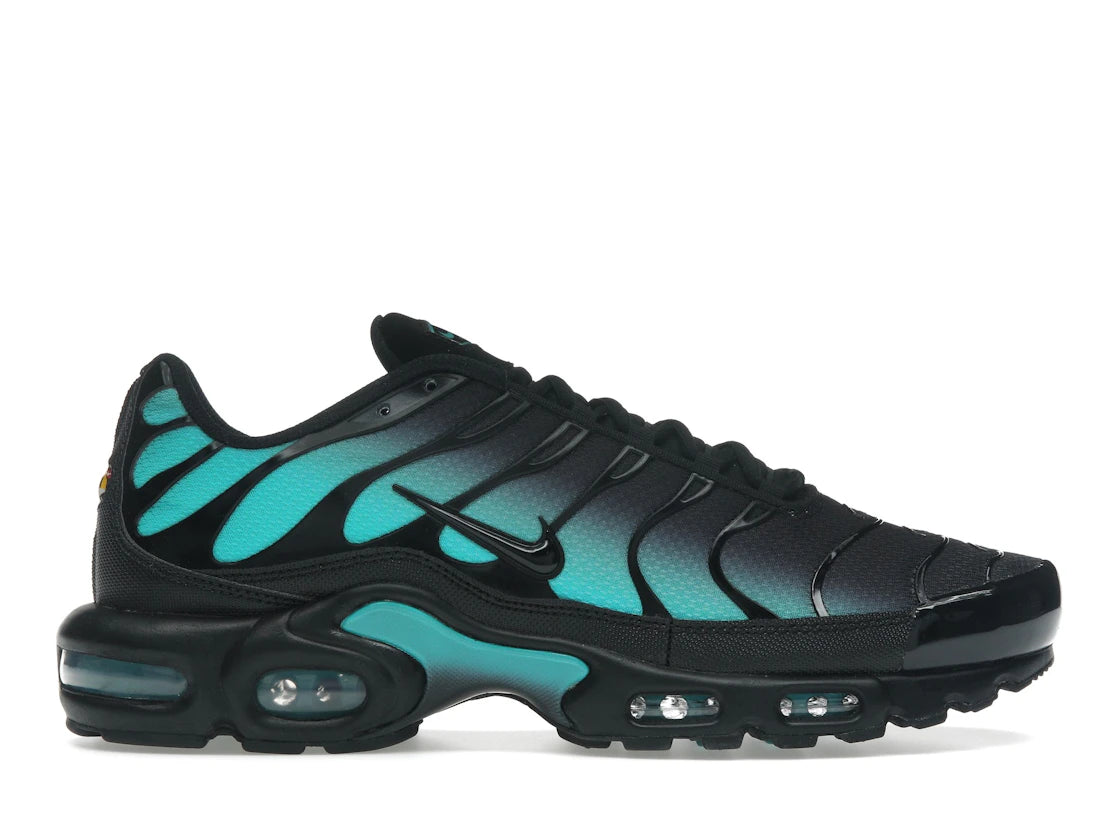Nike Air Max Plus Black Dusty Cactus