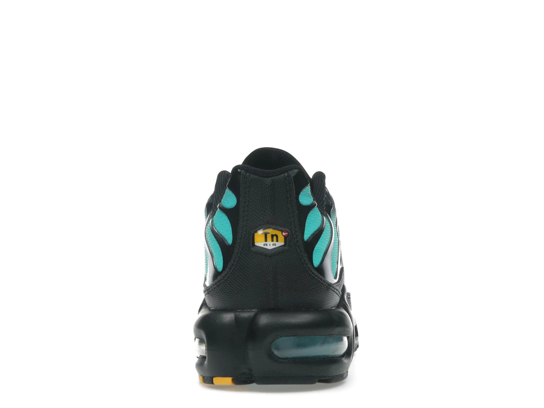 Nike Air Max Plus Black Dusty Cactus