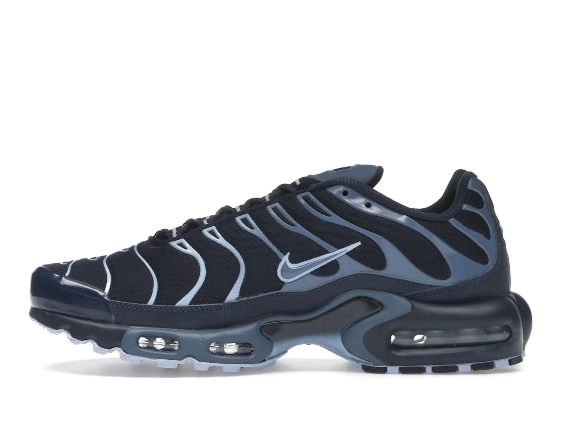 Nike Air Max Plus Obsidian Aluminum