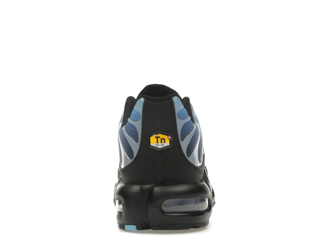 Nike Air Max Plus Black Hydrangeas (Women's)